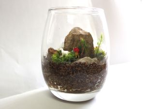 工房エリー関連画像
